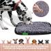 Buy LAMMWEK Sniffing Carpet for Dogs - 17x21 Washable Intelligence Toys with Suction Cups | Enhance Your Dog's Smell Skills! - Buy Online on GoSupps.com