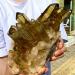 8LB Natural Citrine Cluster Specimen Quartz Crystal Suitable for Home ERTEYIN