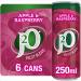 J2O Fruit Blend Juice Drink - Apple and Raspberry 6 x 250ml Single