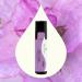 Buy Plant Therapy Clary Sage Essential Oil Roll-On 10 mL - 100% Pure & Natural Aromatherapy for Relaxation & Wellness - Buy Online on GoSupps.com