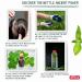 Nettle Shampoo for Healthy Hair - Regulates Sebum Reduces Dandruff & Soothes Scalp Irritation - 200ml | International Shipping Available - Buy Online on GoSupps.com