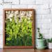 AMEICE Green Reindeer Moss: Natural Preserved Decor for Gardens, Terrariums & Crafts - Buy Online on GoSupps.com