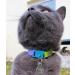 Kittyrama Cats & Kittens Collars | Vogue Featured Vet Approved Hypoallergenic & Comfortable - Shop Now! - Buy Online on GoSupps.com