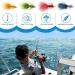 Bend Assorted 35-Piece Dry Fly Fishing Flies - Woolly Bugger Streamer Flies for Trout Bass - Buy Online on GoSupps.com