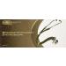 Buy Prestige Medical 122 Sprague Stethoscope in Neon Green - Premium Quality | International Shipping Available - Buy Online on GoSupps.com