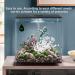 Aggforbl Aquarium Thermometer - Accurate Digital Display Fish Tank Temperature Sensor with LED - Low Energy Consumption - Ideal for Reptile or Fish Tanks - Buy Online on GoSupps.com