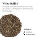 Kusmi Tea White Bellini Organic - Premium White Tea with Peach & Apricot - 90g Metal Tin - Buy Online Internationally - Buy Online on GoSupps.com