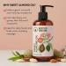 Best of Nature 100% Pure Sweet Almond Massage & Body Oil Deep Moisturizing Unscented Oil for Hair Skin Face & Aromatherapy Ideal Carrier Oil for Essential Oils (8 fl oz) 8 Fl Oz (Pack of 1) - Buy Online on GoSupps.com