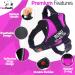 Customizable Pawpawify Dog Harness - No Tug Anti-Pull Durable for Training & Walking - Fits 20-25in Chest - Pink - Buy Online on GoSupps.com