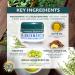 Auromere Ayurvedic Neem Balm - 34% Neem Oil Cream for Rosacea, Eczema & Psoriasis - Soothes Dry, Itchy Skin - 2oz - Buy Online on GoSupps.com