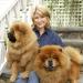 Martha Stewart 2-in-1 Puppy Shampoo & Conditioner - Sulfate-Free, Softens & Shines Coat | 16 oz Dog & Puppy Shampoo - Buy Online on GoSupps.com