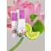 UMIDO 5-Piece Hand Lotion Set 45ml | Marigold Vanilla Sunflower Rice Milk & Cherry Blossom Holy Lotus & Bergamot | Nourishing Hand Creams for Ultimate Care - Buy Online on GoSupps.com