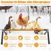 10W Adjustable Chicken Heating Ribs - Thermal Coop Warmer for Birds & Pets | Constant Temperature Breeding Station - Buy Online on GoSupps.com