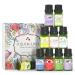 ASAKUKI Floral Essential Oils Mother Day Gift Set with Magnetic Box, 10*10ML Flower Aroma Fragrance Oils - Lavender, Rose, Ylang-ylang, Gardenia, Neroli, Bluebell, and More Scented Oils for Mom Women Purple-set