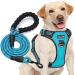 tobeDRI No Pull Dog Harness Adjustable Reflective Oxford Easy Control Medium Large Dog Harness with A Free Heavy Duty 5ft Dog Leash Large Blue Harness+Leash