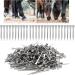 Steel Horseshoe Nails 250Pcs Horseshoe Nails Nail Palm for Horse Horseshoe Nail Horseshoe Nail Horse Horseshoe Nail for Horse Race Horse - Buy Online on GoSupps.com