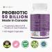 50 BILLION Daily Probiotic for Men & Women 15 Strains Active Culture. Relieves Bloating and Constipation Improved Digestion and Gut Health Supplement Non-GMO Vegan Gluten Free. 60 Powerful Easy to Swallow Capsules.(2 Pack) 60 count (Pack of 2) - Buy Online on GoSupps.com
