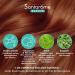 Santarome - Sublimes Cheveux Force & Croissance - Hair & Nail Growth Food Supplement - Vitamins B6 B8 Rocket Blueberry - 30 tablets - 1 month - France - Buy Online on GoSupps.com