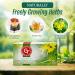 KUKER - Premium Senna Tea Leaves and Fruit Laxative Tea Senna Leaf Tea For Constipation Relief Senna Leaves Colon Cleanse Tea Bedtime Tea Chinese Diet Tea Asian Slim Tea - 20 Senna Tea Bags 30g - Buy Online on GoSupps.com