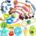 Leipple 20 Pack Luxury Dog Chew Toys for Puppy Cute Small Dog Toys with Ropes Puppy Chew Toys Interactive Dog Toys and Squeaky Puppy Toys for Small Dogs B-Style