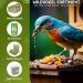 Eggersmann Volaris 900g Dried Mealworms | Protein-Rich Natural Bird Feed | Year-Round Nutrition for All Birds - Buy Online on GoSupps.com