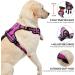 Nestroad Large Dog Harness & Leash Set - Rose Red | Adjustable Size L (Neck 38-48cm Breast 48-74cm) | Includes Car Seat Belt for Large Dogs - Buy Online on GoSupps.com
