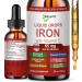Iron Supplement Liquid Drops High Absorption Iron Supplement for Women 65 mg Liquid Iron for Red Blood Cell Support* Vegan Essential Mineral Iron Drops with Vitamin C Non-GMO 30 Servings
