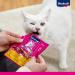Vita Power Cat Stick Classic - Grain-Free Meaty Snack for Cats | Poultry & Liver Mini Sticks (10x6 Pieces 36g) - Buy Online on GoSupps.com