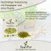SaatPur Organic Sprouts Assortment - 3 Organic Varieties: Mungo Mung Bean Daikon Radish & Buckwheat Fitness Mix for Health & Wellness - Buy Online on GoSupps.com