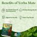 Yerba Mate Capsules Natural Yerba Caffeine Supplements Improved Gut Health with Taurine and Vitamin B Complex No Additive No Sugar 60 Capsules - Buy Online on GoSupps.com