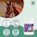 MENFORSAN Flea Shampoo for Horses 5L with Margosa Geraniol and Lavandin Protects Against All Insects - Buy Online on GoSupps.com