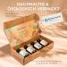 Woodfjord Sauna Infusion Set Bio Active | Thermometer & Hygrometer | 4 Organic Fragrances | Authentic Sauna Experience - International Shipping - Buy Online on GoSupps.com