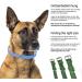 Sniffing Fans Leather Dog Collar - Padded & Robust for Large Medium Small Dogs (XL 46-55cm Green) - International Shipping Available - Buy Online on GoSupps.com