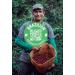 Siesta Coffee BRAZILIAN speciality organic coffee PRE-GROUND 250g Brazilian Pre Ground 1.00 g (Pack of 1) - Buy Online on GoSupps.com