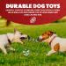 ZENO Dog Toys - Pack of 10 | Rope Chew Toys for Dogs | Strong Rope Ball & Tug for Teething & Training | Puppy Teething Toys | 100% Natural Cotton | Great for Small Medium & Large Puppies & Adults - Buy Online on GoSupps.com