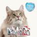 BEAPHAR Zahnies for Cats - Dental Care Treats | Fresh Breath & Health Support | 150g - International Shipping Available - Buy Online on GoSupps.com