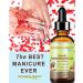 Botanical Beauty Organic POMEGRANATE OIL 100% Pure Natural Virgin Unrefined Cold-Pressed Carrier Oil 2 Fl oz 60 ml for Face Skin Body Hair Lip Nails. Rich in vitamin C - Buy Online on GoSupps.com