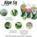  Syrio Aloe-sy Fruit Flavor 1000 ml - Buy Online on GoSupps.com