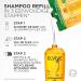 L'Or al Paris Elvive Shampooing Nourrissant Id al pour Cheveux Secs Cheveux Nourris et Brillant Pour 8 Semaines Avec Huiles de Cam lia et Marula Format Commodit Eco-Recharge Huile Extraordinaire - Buy Online on GoSupps.com