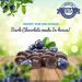 2 LB Gourmet Dark Chocolate Blueberries by Its Delish - Kosher & Vegan Snack | Real Dried Blueberries Covered in Dark Chocolate | 2 Pound Bulk Pack - Buy Online on GoSupps.com