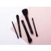 Aloette Professional 5-Piece Brush Collection | Cruelty-Free Synthetic Makeup Brushes for Flawless Application - Buy Online on GoSupps.com