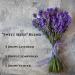 Buy SenseLAB Lavender Essential Oil 120ml - Pure Aromatherapy for Relaxation & Wellness - Buy Online on GoSupps.com
