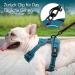 POPOT No Pull Dog Harness - Reflective Adjustable & Soft Padded Vest for Small to Large Dogs | XS Tumalo Teal - Buy Online on GoSupps.com