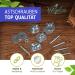 Buy Pack of 5 Stainless Steel Branch Screws for DIY Bird Toys & Perches | Secure Cage Fastening - Buy Online on GoSupps.com