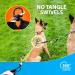 Reflective Bungee Dog Leash for 2 Dogs - Medium & Large with Stipper | Elastic Walking Leash (Green) - Buy Online on GoSupps.com