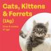 Bob Martin Clear Plus | Spot On Flea Treatment for Cats & Ferrets | Kills Fleas Ticks Lice & Flea Eggs (3 Pipettes) & Spot On Flea Treatment for Cats & Ferrets | Kills Fleas & Ticks (3 Pipettes) - Buy Online on GoSupps.com