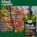 Difeel Jamaican Black Castor Shampoo & Conditioner Set - 2-PC Gift Box for All Hair Types Sulfate & Paraben Free 33.8oz Each - Boost Hair Growth & Nourishment - Buy Online on GoSupps.com