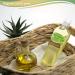 Organic Evening Primrose Oil 8 Oz - 100% Pure and Natural - Buy Online on GoSupps.com