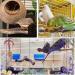 Kathson 6 PCS Parrot Perch Toy Set - Natural Wood Bird Cage Accessories for Parakeet, Budgies, Lovebirds - Buy Online on GoSupps.com