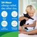Claritin Grape Flavored Kids Allergy Relief - Non Drowsy Liquid Antihistamine for 24 Hours | Dye Alcohol & Sugar Free for Children 2 - Buy Online on GoSupps.com